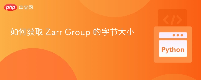 Zarr Group 字节大小获取方法