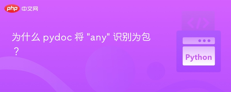 为什么pydoc将函数‘any’识别为包？