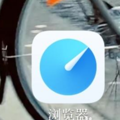 vivo浏览器简洁版设置方法详解