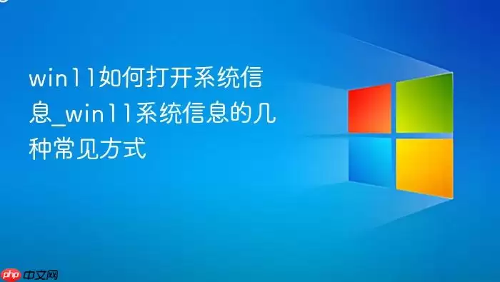 win11如何打开系统信息_win11系统信息的几种常见方式