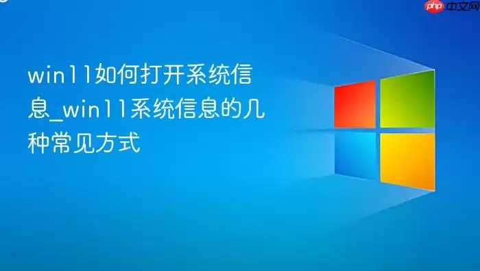 win11如何打开系统信息_win11系统信息的几种常见方式