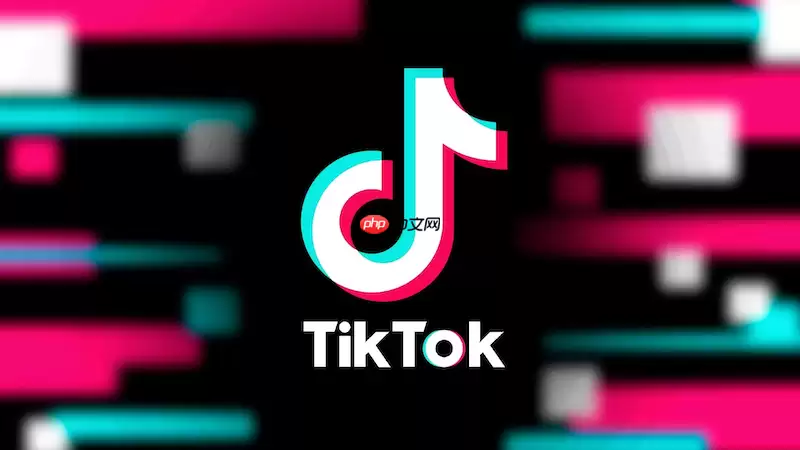 tiktok国际版网页入口_国际抖音tiktok在线免安装