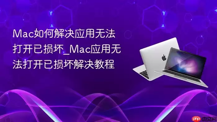mac如何解决应用无法打开已损坏_mac应用无法打开已损坏解决教程
