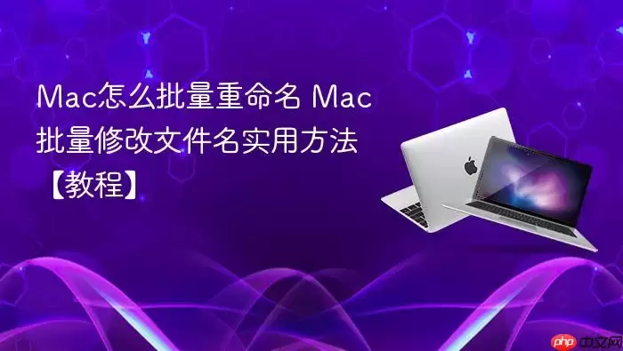 Mac怎么批量重命名 Mac批量修改文件名实用方法【教程】