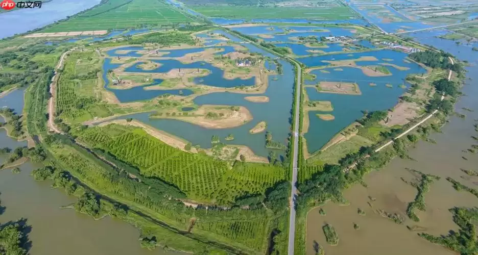 三角洲游戏官网入口 点击直接进入官方站