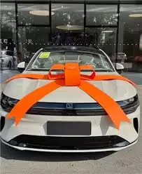 极氪app怎么绑定车辆