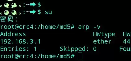 deepin linux怎么切换到root权限? Deepin切换root用户的技巧