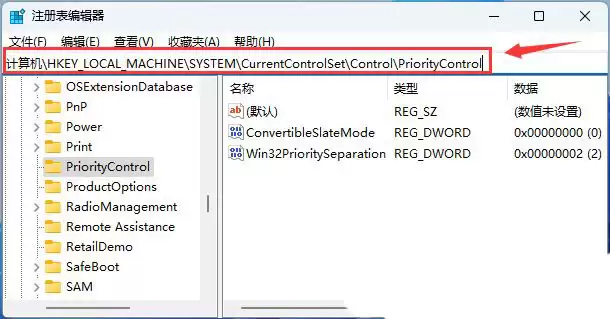 如何启用项目复选框? Windows系统打开文件复选框设置的教程