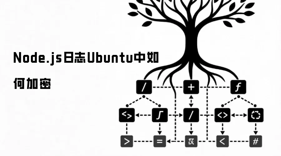 Node.js日志Ubuntu中如何加密