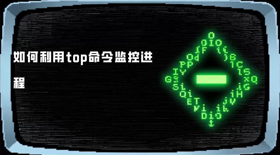 如何利用top命令监控进程