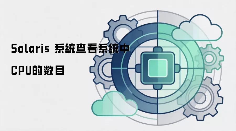 Solaris 系统查看系统中CPU的数目