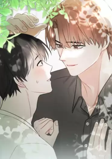 yy动漫免费登录入口 yy动漫网页免费登录入口2026