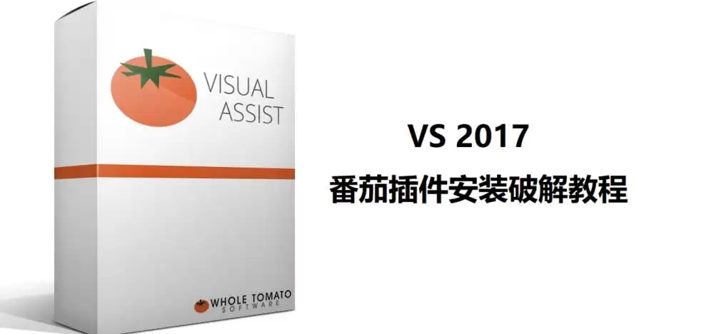 VS2017番茄插件visual assist怎么下载安装