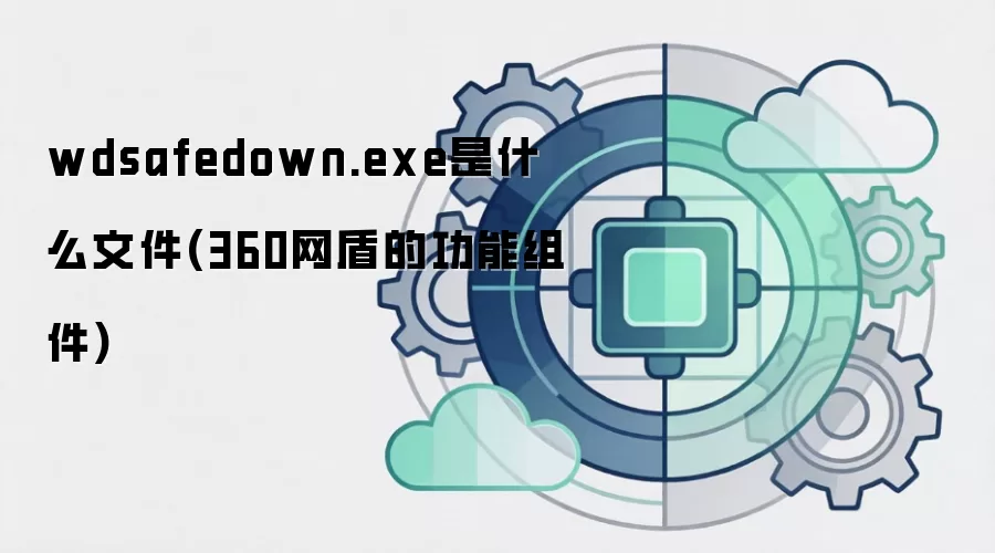 wdsafedown.exe是什么文件(360网盾的功能组件)