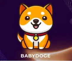 babydoge币什么时候发行
