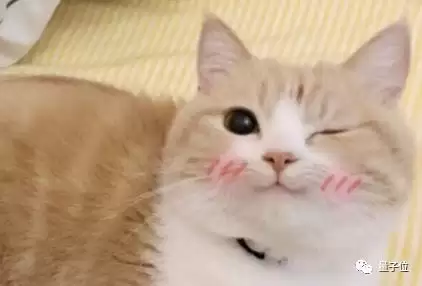 只需六步 轻松教会你在树莓派上安装Win11