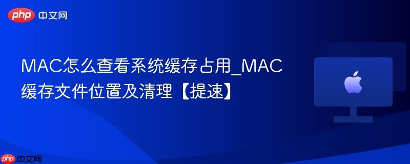 mac怎么查看系统缓存占用_mac缓存文件位置及清理【提速】