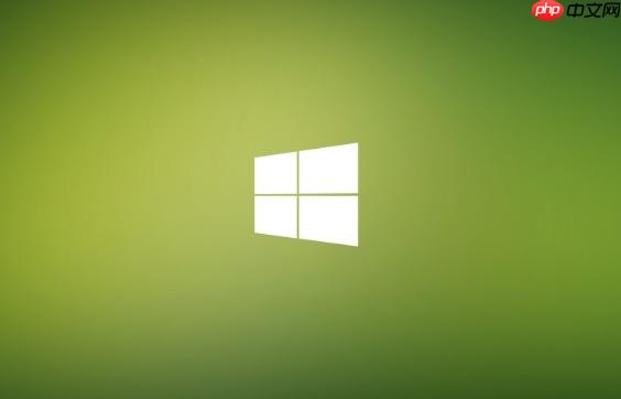 win11怎么开启文件资源管理器的分栏显示_windows11查看选项个性