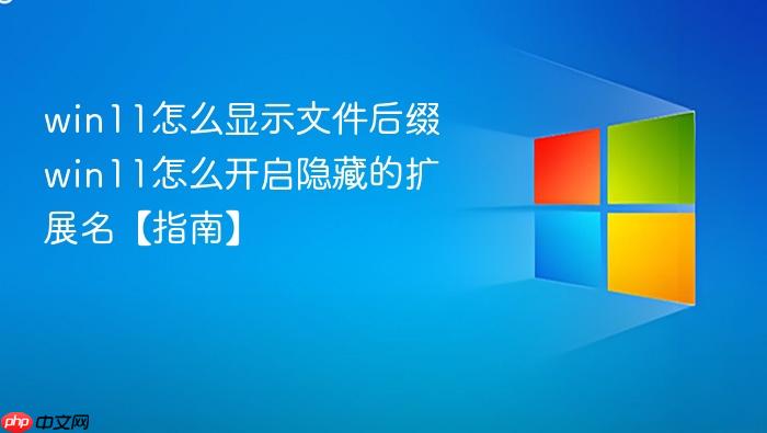 win11怎么显示文件后缀 win11怎么开启隐藏的扩展名【指南】
