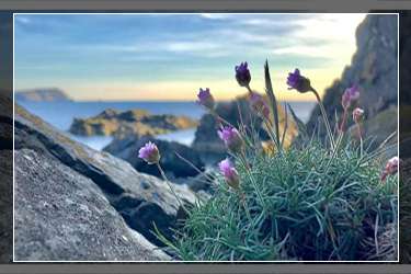 闲鱼曝光量是什么意思？闲鱼暴光和浏览量的区别