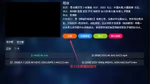 tvbox手机版如何安装