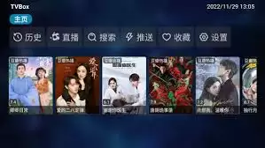tvbox手机版如何安装