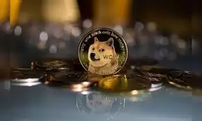 狗狗币是否值得投资