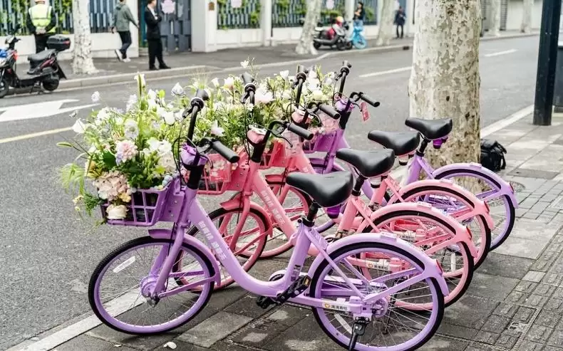 “粉粉滴”“稳稳滴”双车亮相上海，共享单车体验再升级