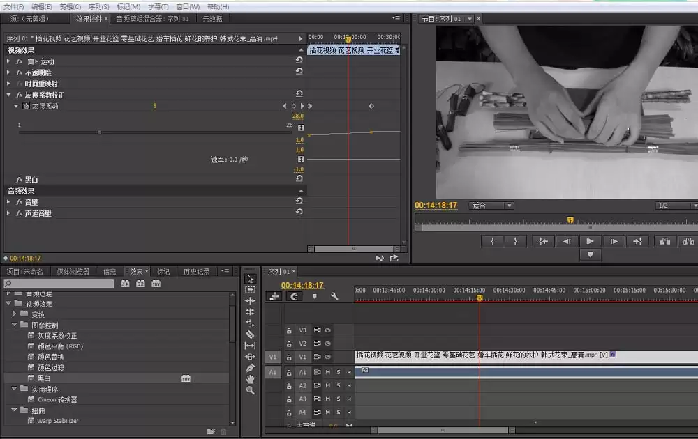 premiere怎么给视频去色