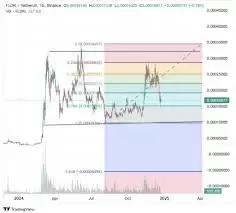 FLOKI币走势如何预测