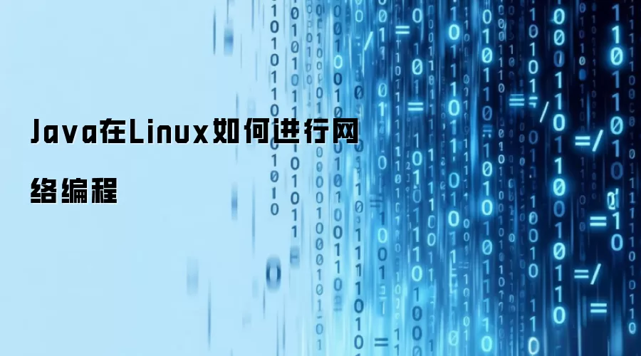 Ja va在Linux如何进行网络编程