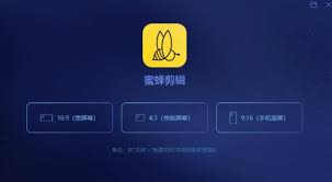 蜜蜂剪辑如何去除视频黑边