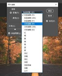PS软件如何设置照片冷却滤镜效果