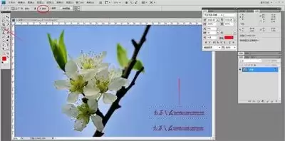 PS怎么使用仿制图章工具-Photoshop消除笔使用教程
