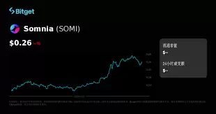 somi币是否有投资前景