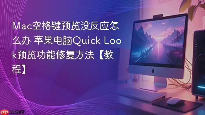 Mac空格键预览没反应怎么办 苹果电脑Quick Look预览功能修复方法【教程】