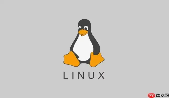 Linux怎么使用nc命令测试端口 Linux网络探测工具nc详解