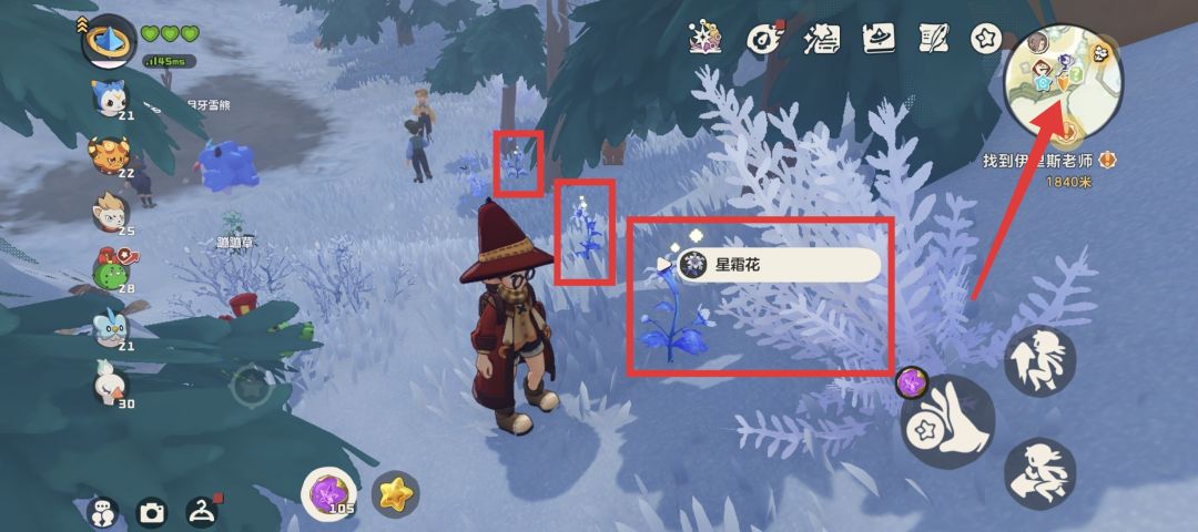 洛克王国世界星霜花采集路线