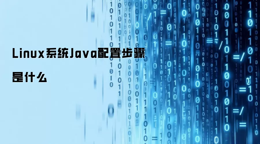 Linux系统Ja va配置步骤是什么