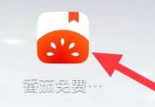 番茄小说怎么查看影视小说热门标签