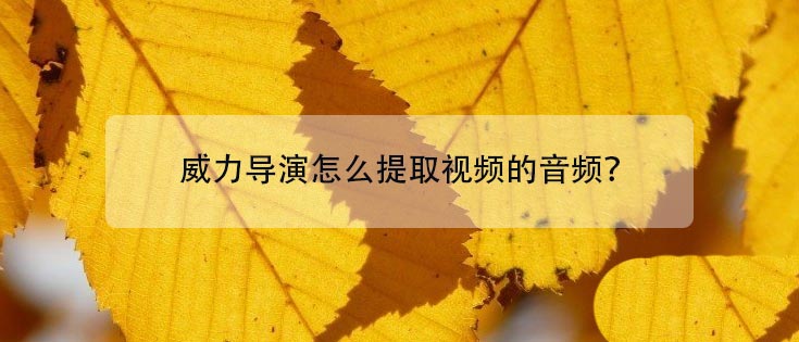威力导演如何提取音频