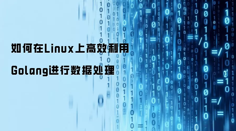 如何在Linux上高效利用Golang进行数据处理