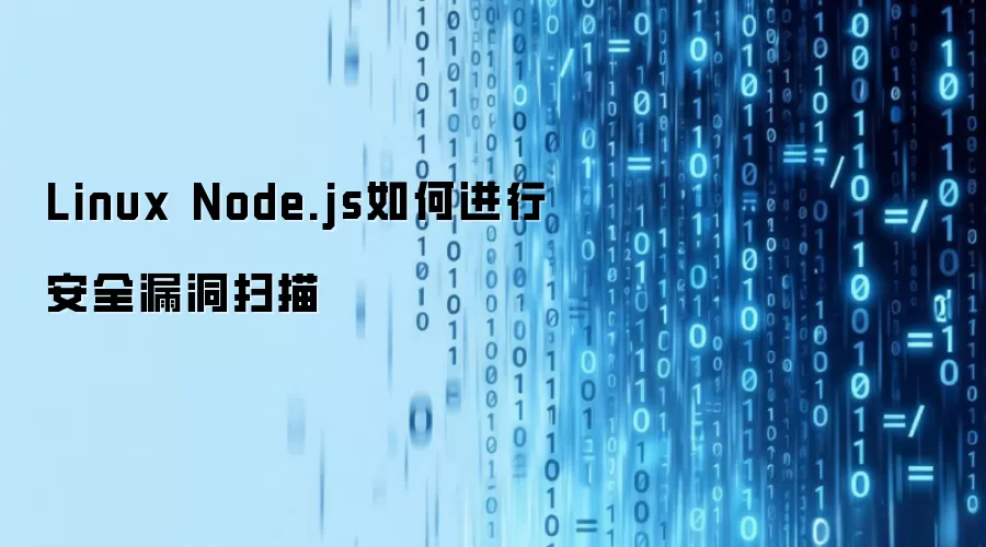 Linux Node.js如何进行安全漏洞扫描