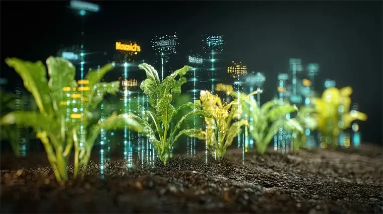 湖北发布政策！加快农业科技创新应用，推动生物育种等领域创新