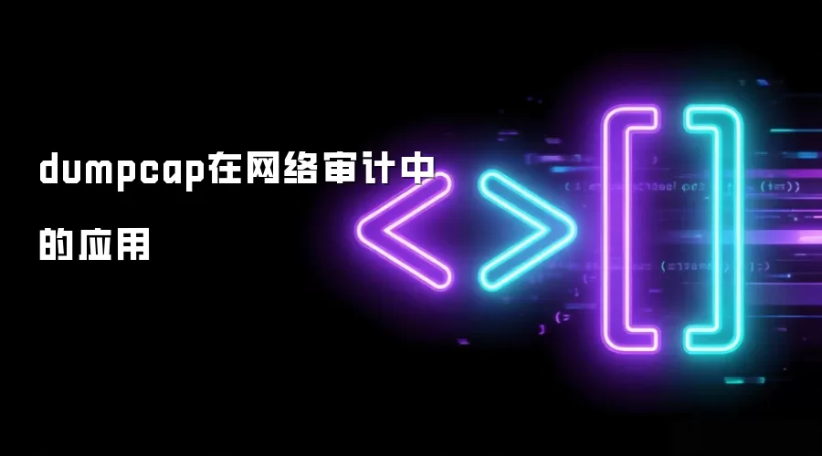 dumpcap在网络审计中的应用