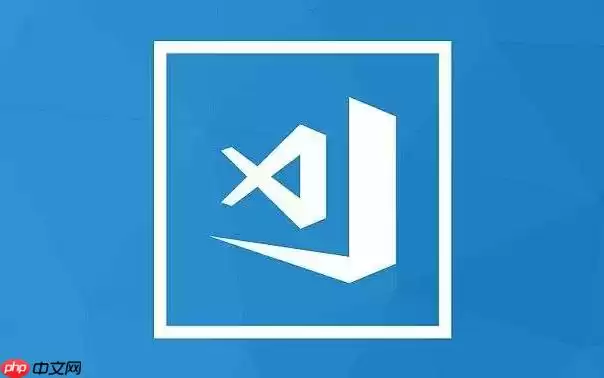 VSCode插件本地存储_查看已安装插件的源码与配置