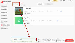 如何只下载哔哩哔哩视频的音频部分-哔哩哔哩视频音频部分怎么单独下载