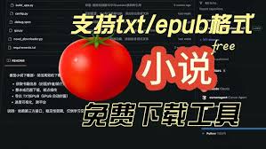 番茄免费小说如何导出为TXT-番茄免费小说导出TXT教程