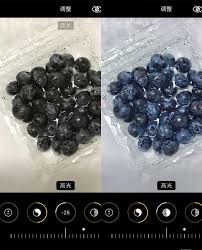 蓝莓视频app如何设置滤镜-蓝莓视频app怎样设置滤镜