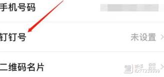 如何设置个人化钉钉号
